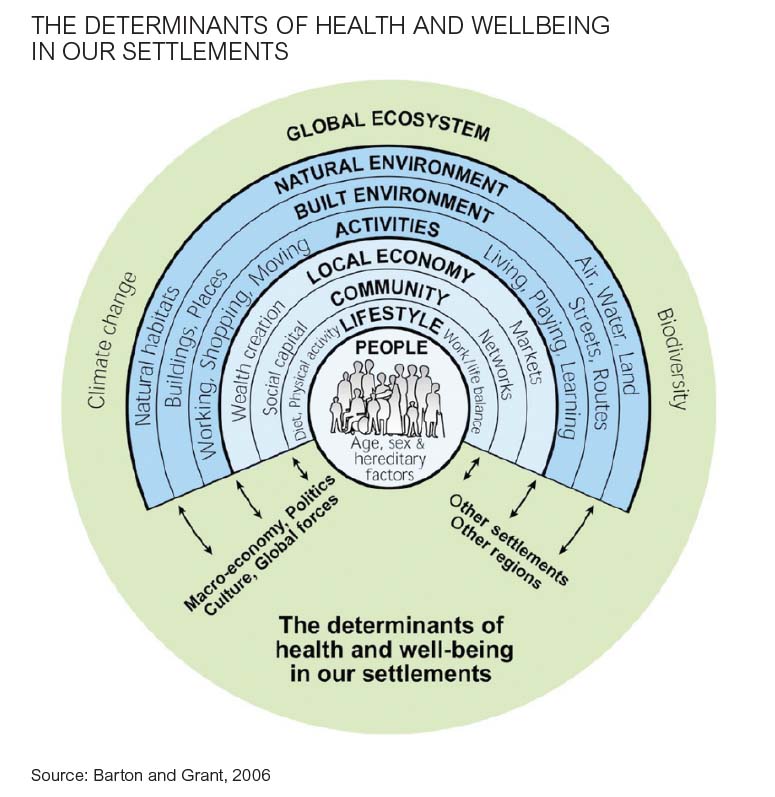 Social determinants of health