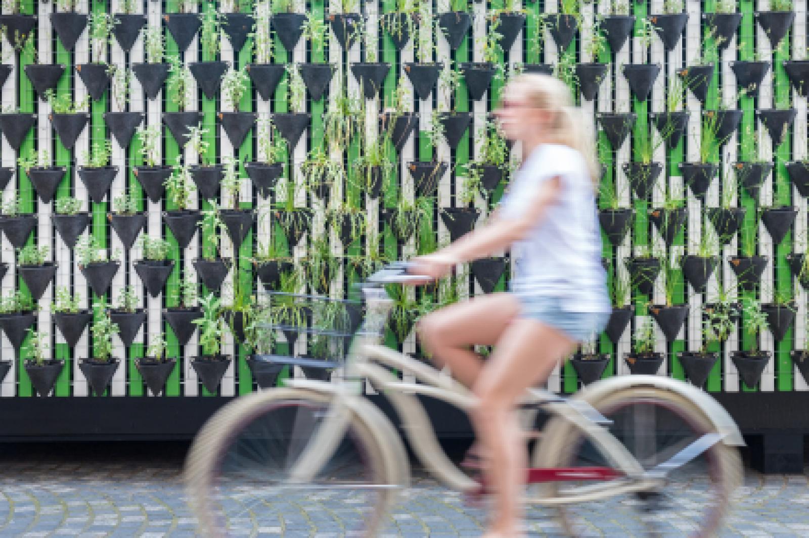 Woman on bicycle past a living wall