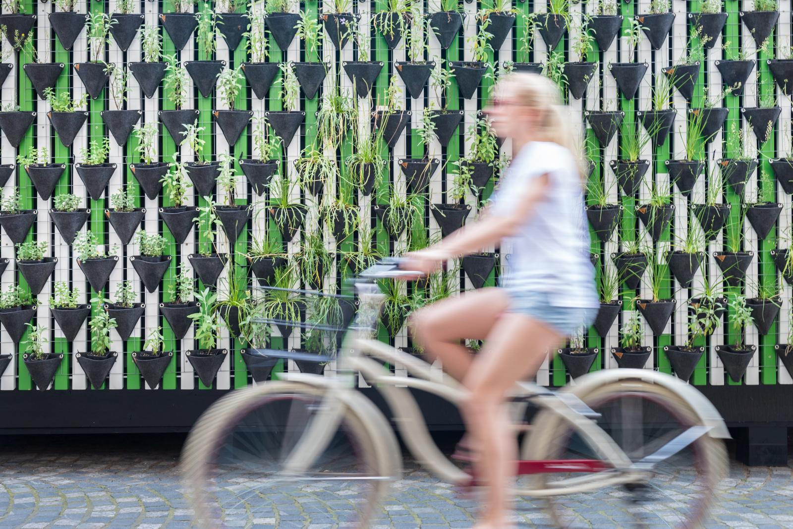 Woman cycling in front of green wall