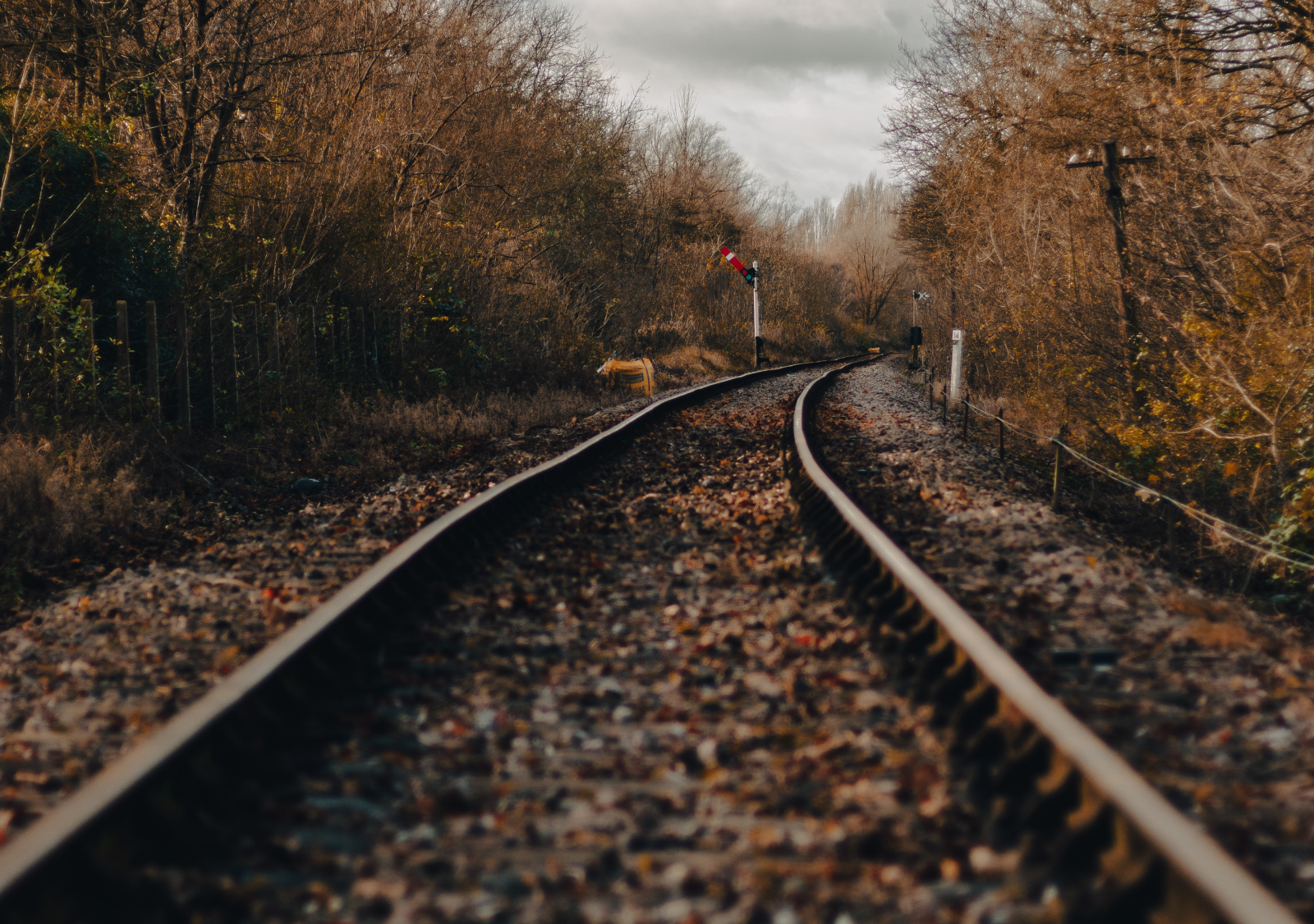 A railway line