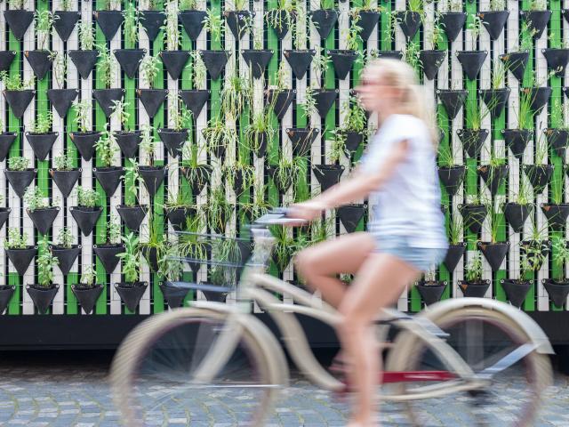 Woman cycling past a living wall