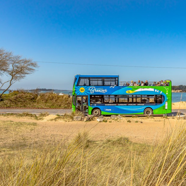 Bus by the beach